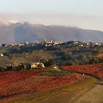 Casa Cardarella
