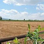 Gospodarstwo wiejskie Casa Cardarella Beroide
