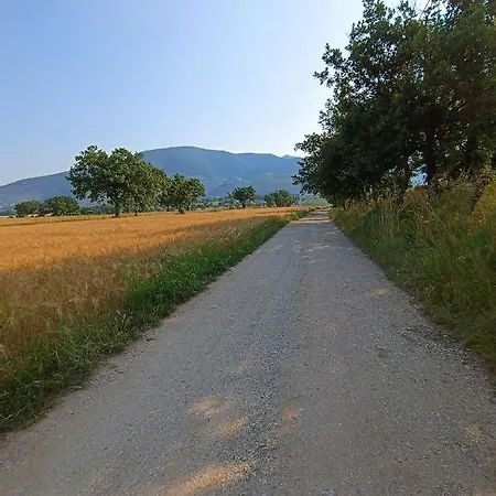 Venkovský dům Casa Cardarella