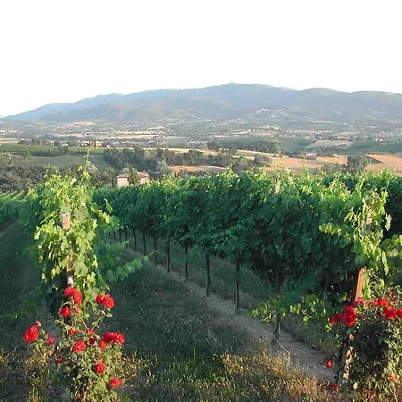 Venkovský dům Casa Cardarella