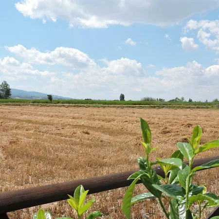 Country house Casa Cardarella Beroide