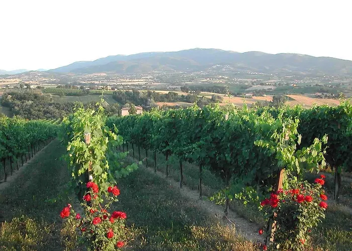 Casa de Campo Casa Cardarella